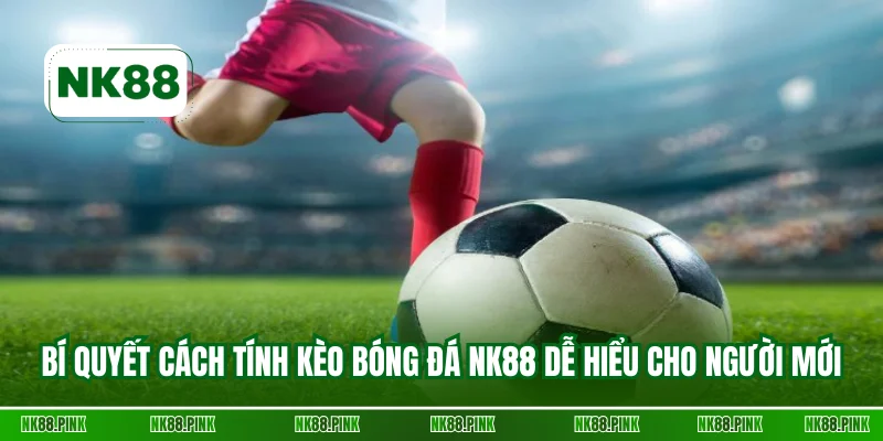 Bí quyết cách tính kèo bóng đá NK88 dễ hiểu cho người mới