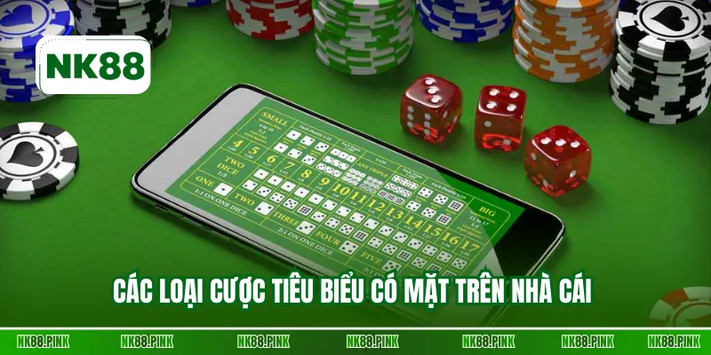 Các loại cược tiêu biểu có mặt trên nhà cái 