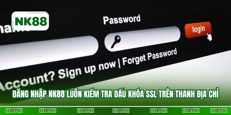 Đăng nhập NK88 luôn kiểm tra dấu khóa SSL trên thanh địa chỉ
