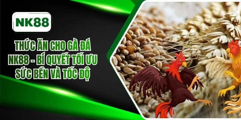 Thức ăn cho gà đá NK88