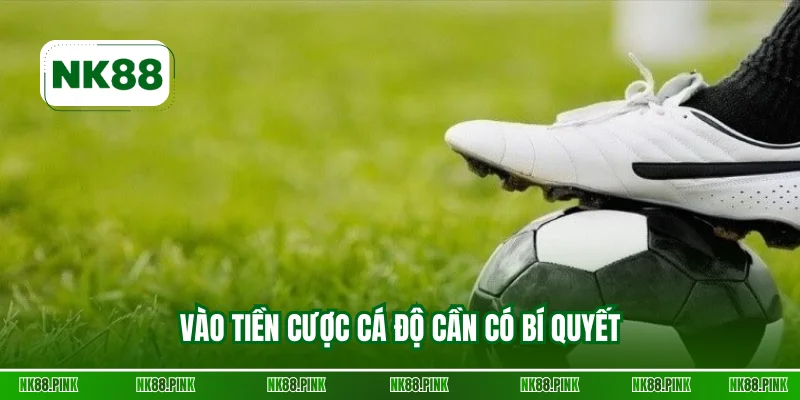 Vào tiền cược cá độ cần có bí quyết